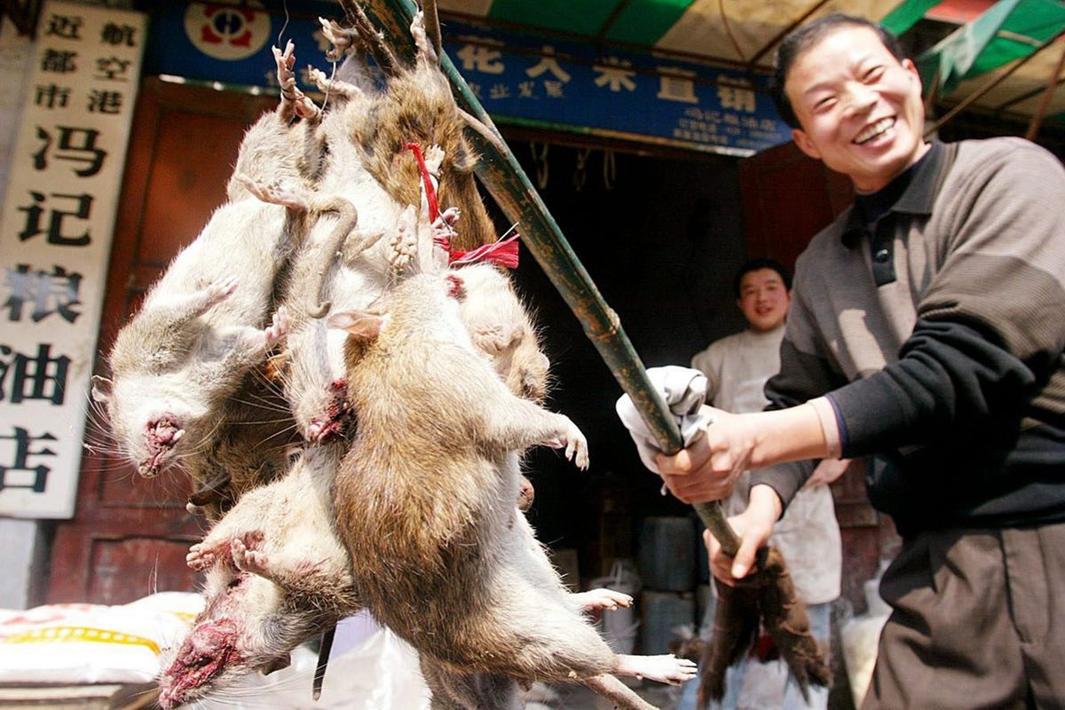 Giocare con la natura per edonismo è la perversione della globalizzazione