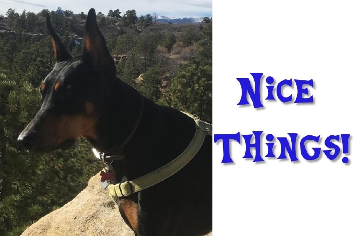 What We Talk About When We Talk About Nice Things
