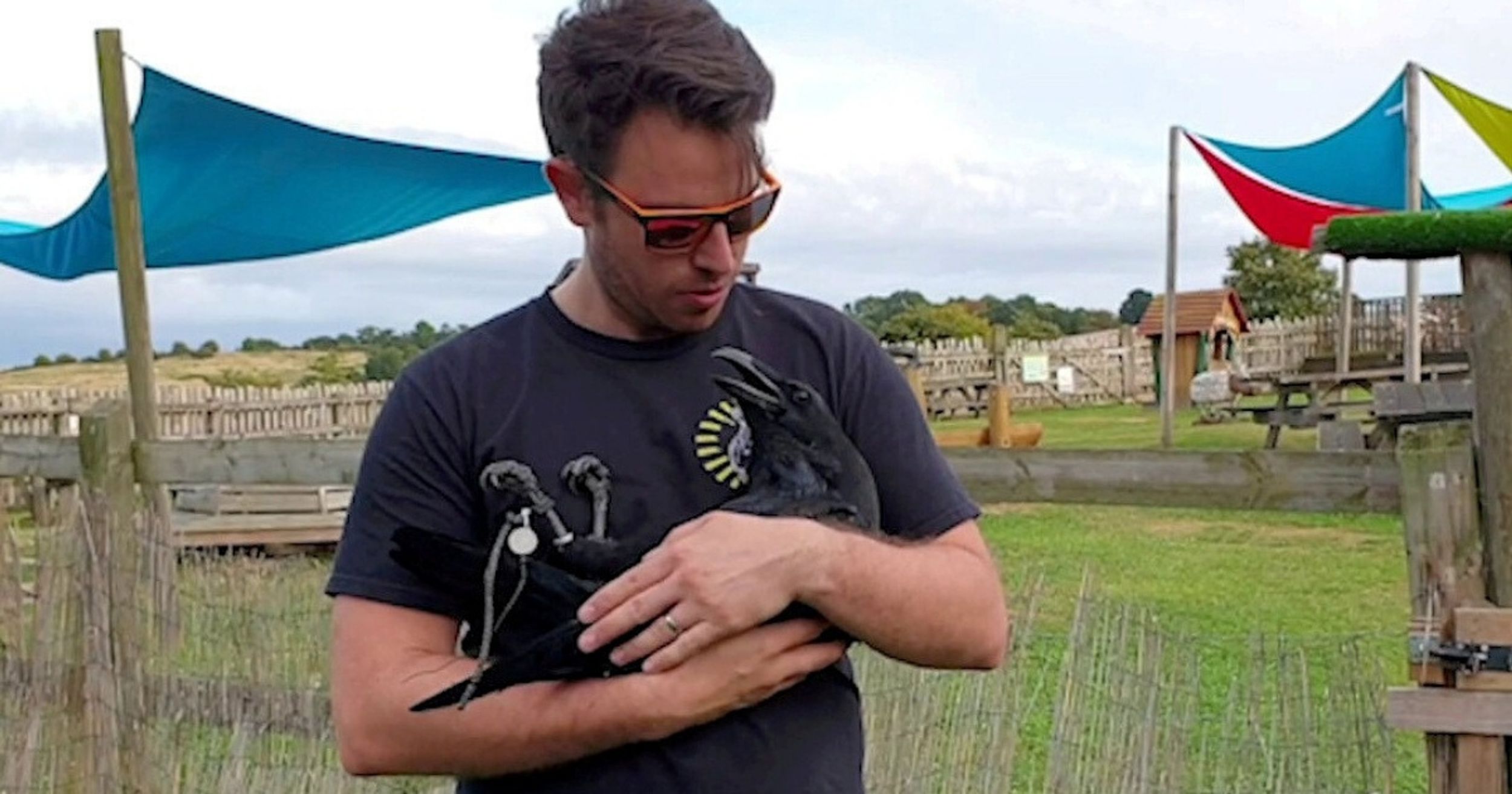 Loki The Overly Affectionate Raven Who Loves To Be Cuddled Is Our Newest Internet Obsession