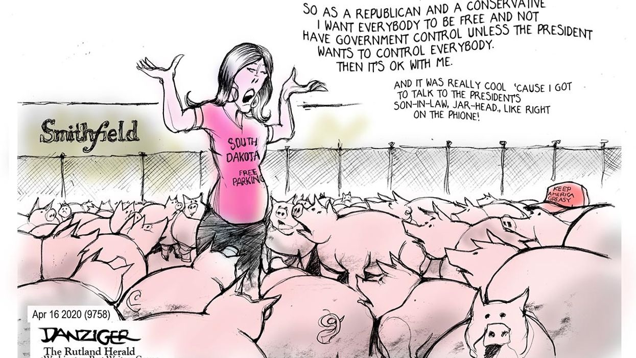 Danziger Draws