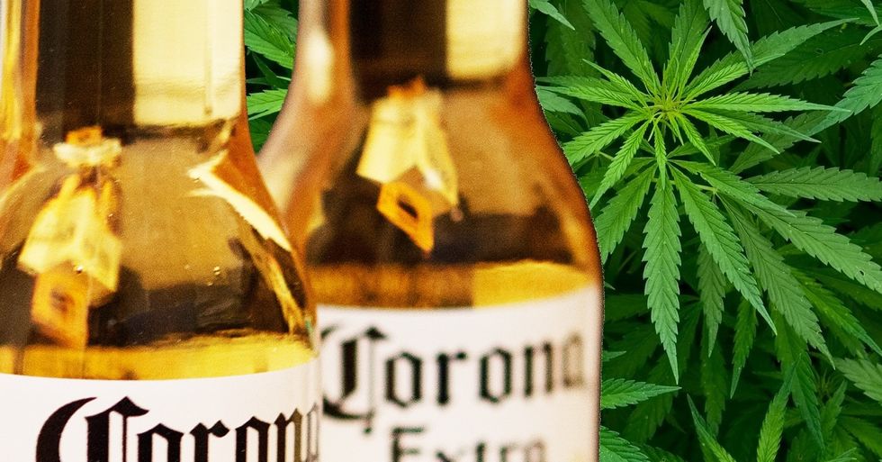 Alcohol and Cannabis Industries During the Coronavirus Craze