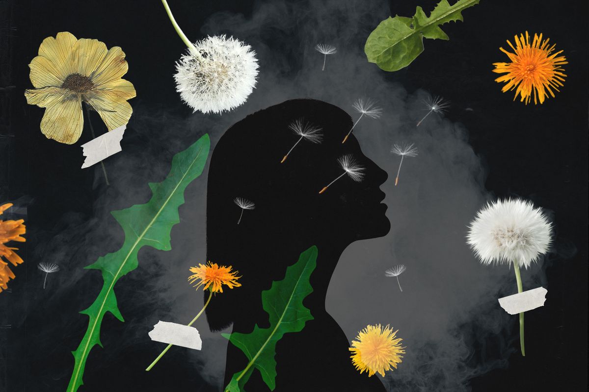 'Milkwishes': A New Story by Kristen Roupenian