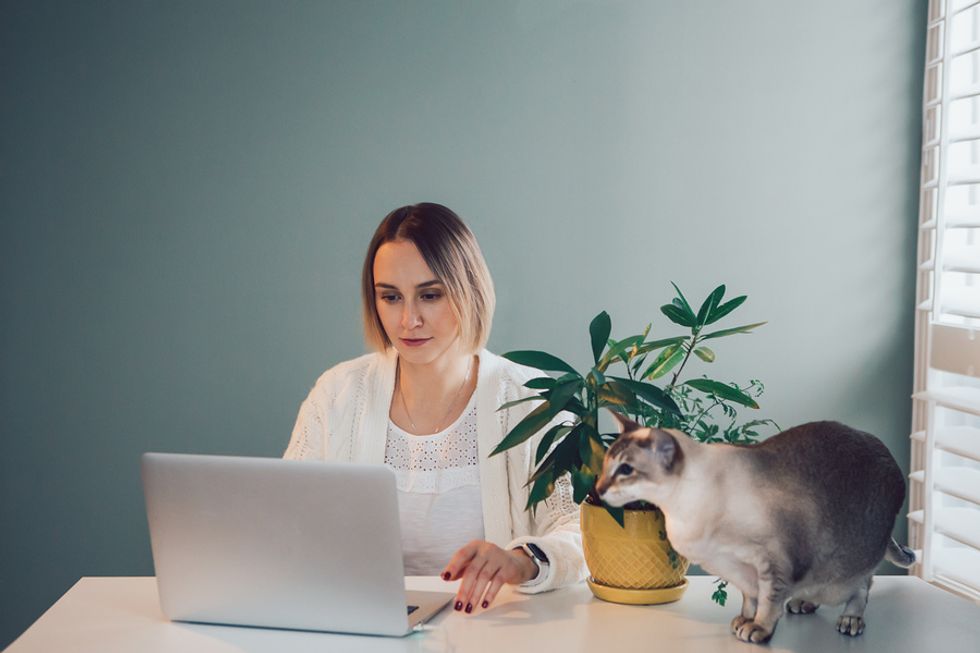 Businesswoman uses some spare time to work on her resume.