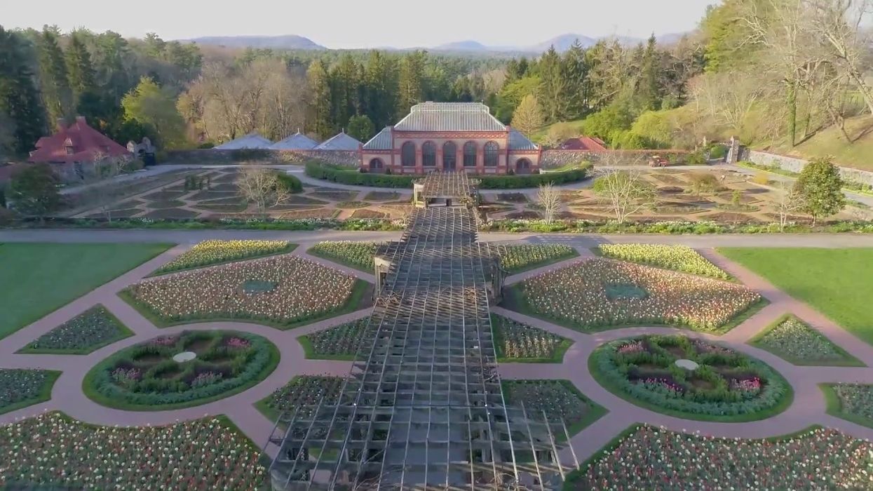 Biltmore Estate is sharing weekly 'bloom reports' so you won't miss out on the spring blossoms