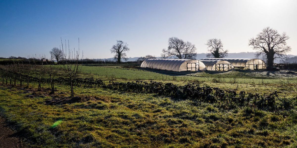 Organic farm UK