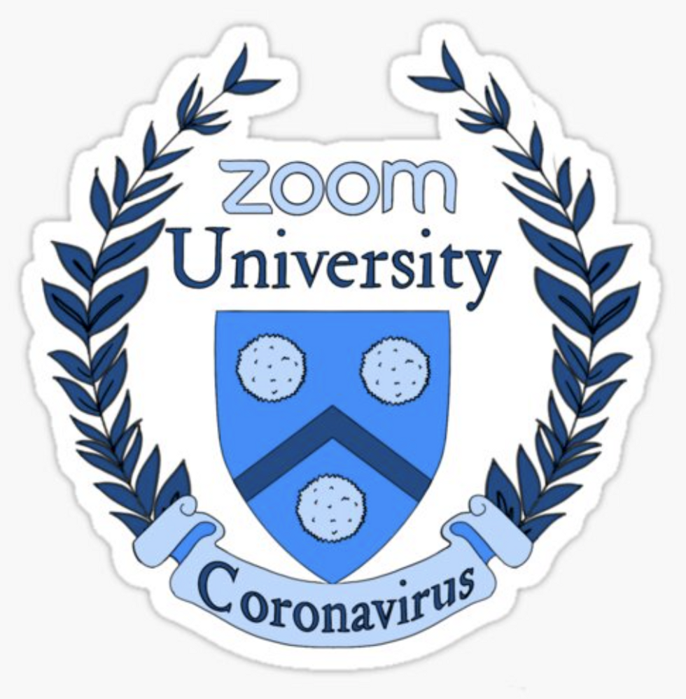 University Of Zoom: Tips From An Out-Of-State Student