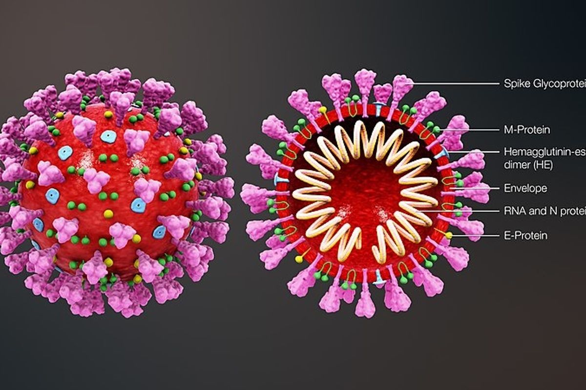 Republican Governors Explain, Poorly, Why They Are Being Coronavirus Idiots