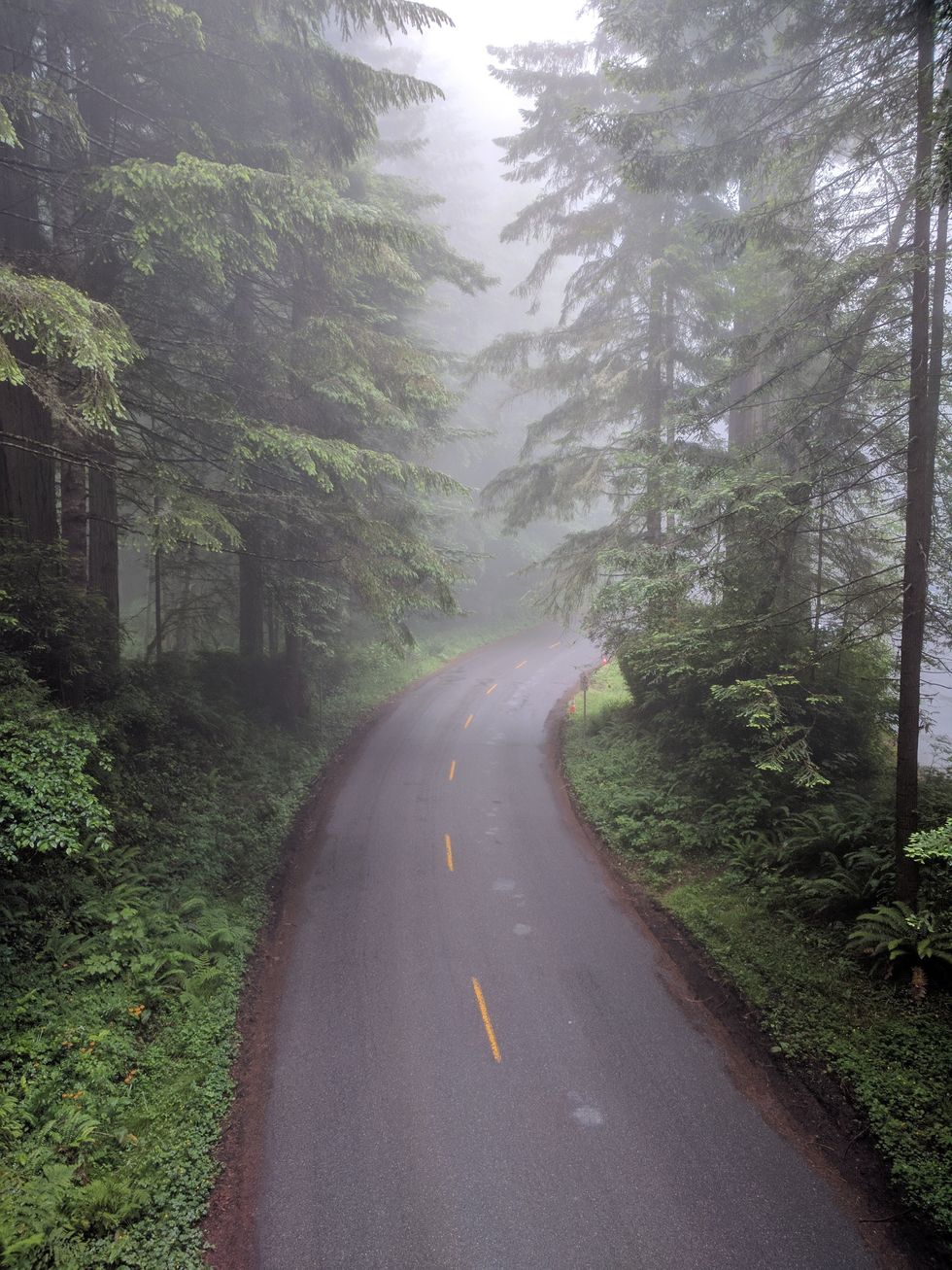 https://www.pexels.com/photo/empty-asphalt-road-between-trees-2682122/