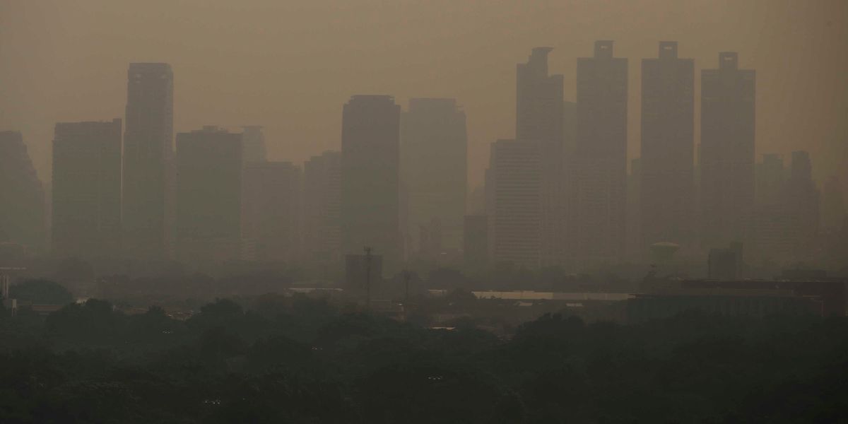 Covid-19: Biggest drop in CO2 emissions since WWII but little impact on climate change