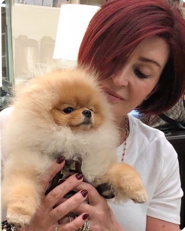 \u200bSharon Osbourne and her Pomeranian Bella.