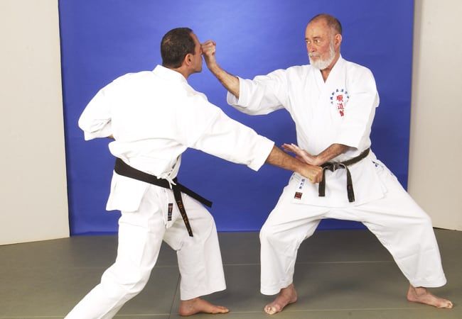 Karate Terms: 5 More Words You Need To Understand - Black Belt Magazine