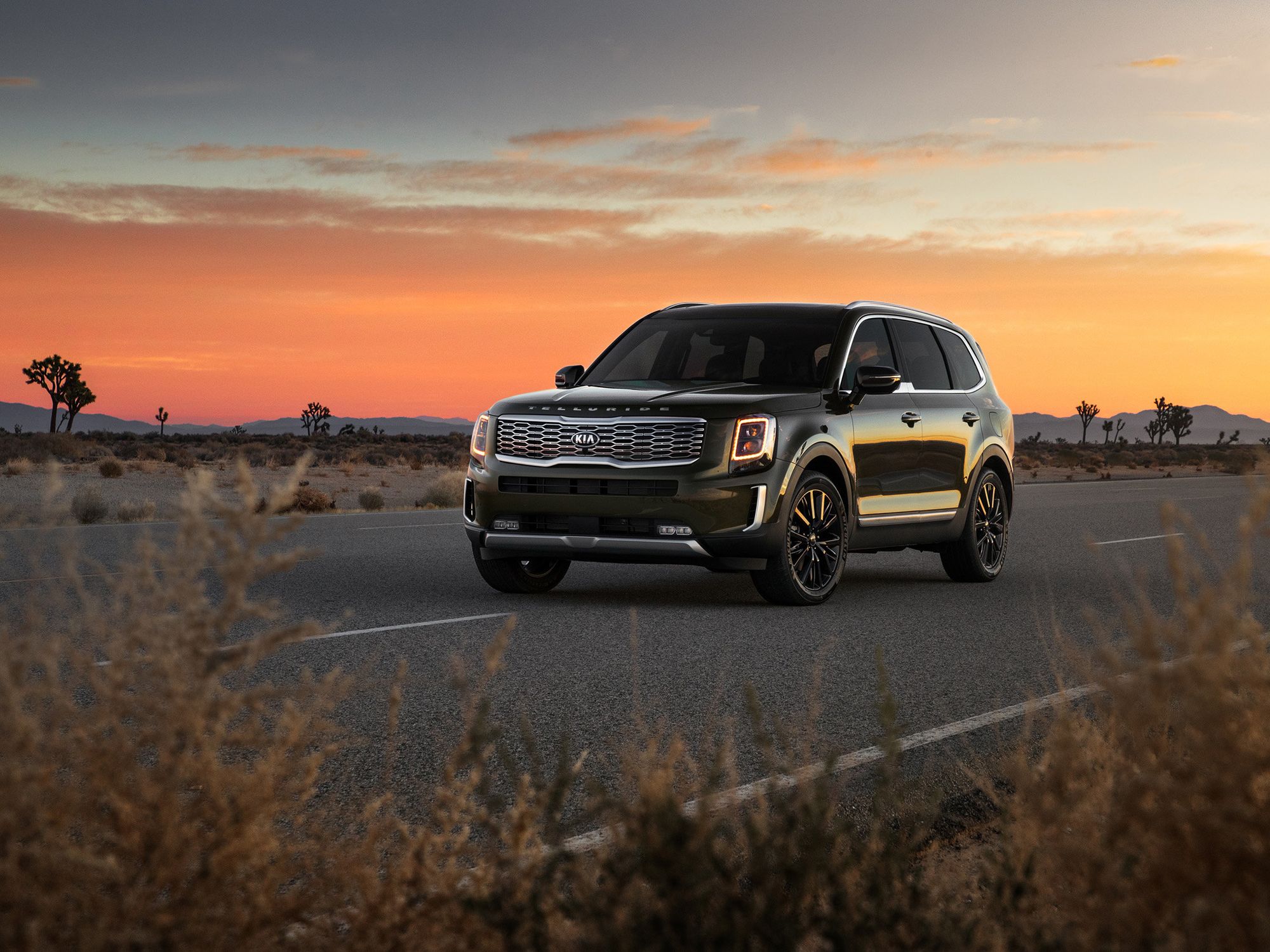 2020 Kia Telluride