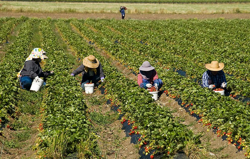 Trump’s Racist Immigration Policy May Leave Food To ‘Rot In The Fields’