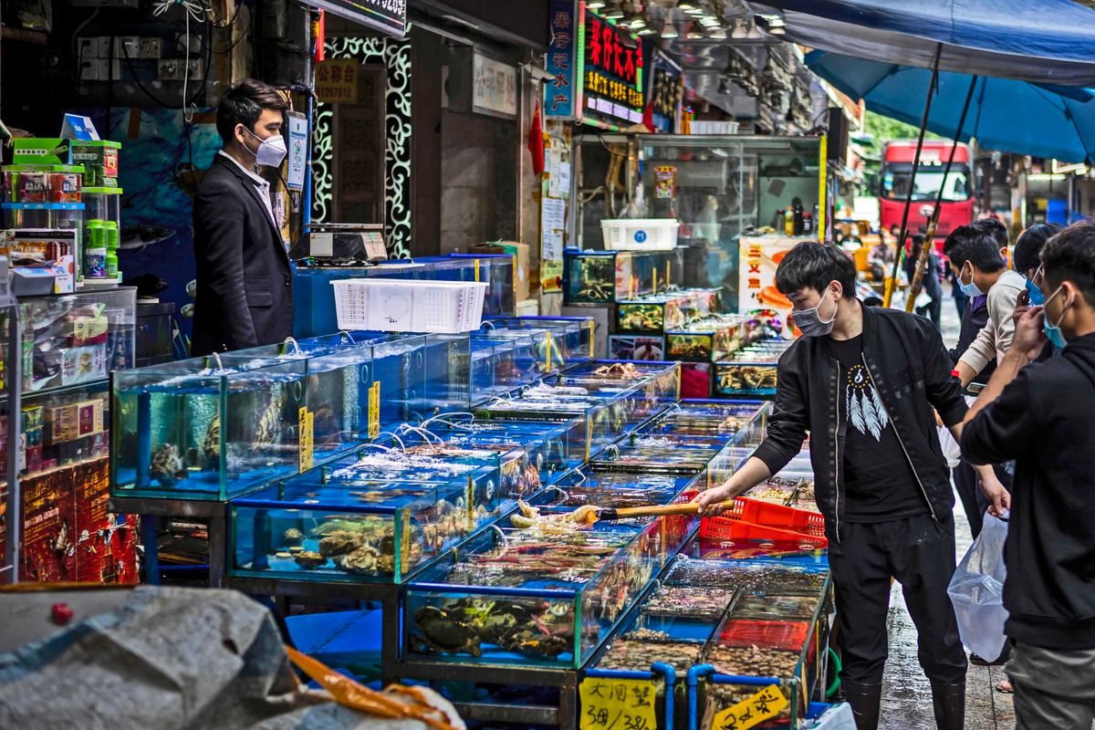 La Cina ha riaperto i mercati dell’orrore