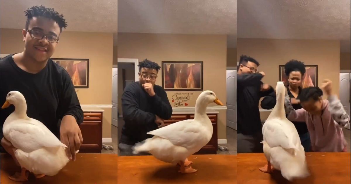This Video Of A Teen Twerking With His Pet Duck Is All We Need To Get Us Through These Dark Times