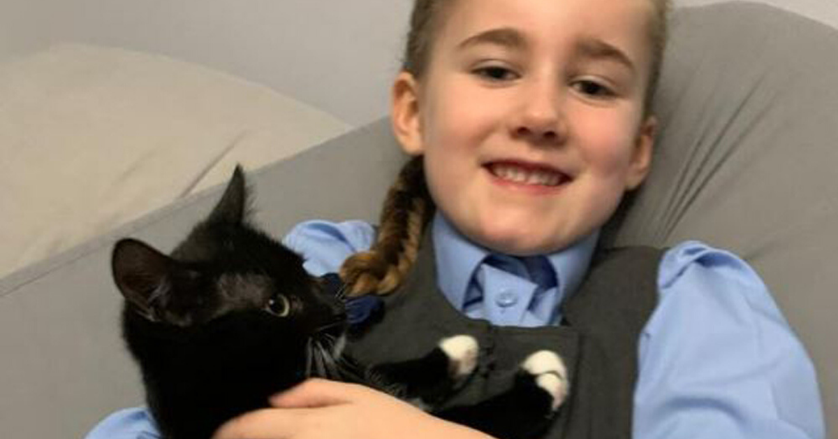 Mom Credits Cat With Easing Her 6-Year-Old Daughter's PTSD And Night Terrors After A Traumatic Car Crash