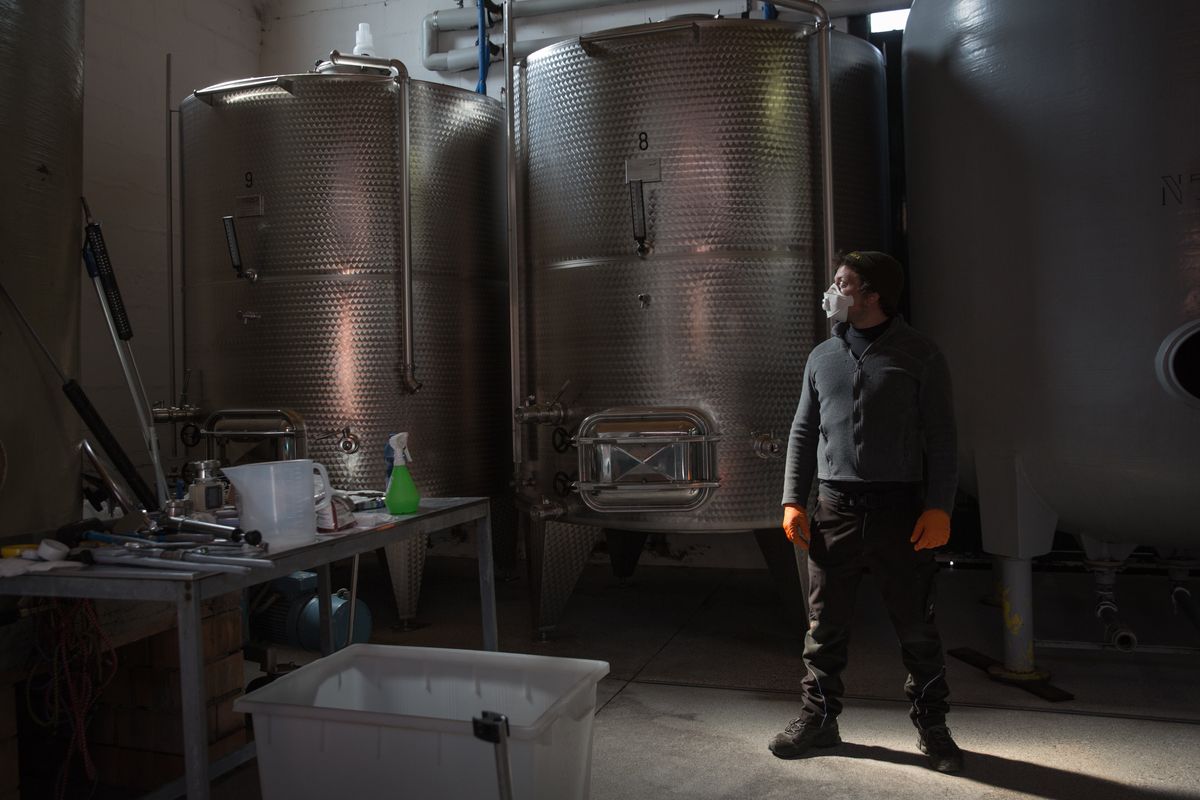 Cantine in crisi, vino di qualità senza mercato