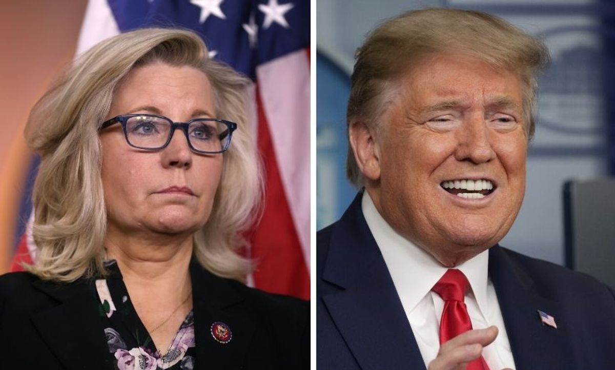 Even Liz Cheney Is Calling Trump Out for Claiming the President Has 'Total' Authority But People Are Not Having It