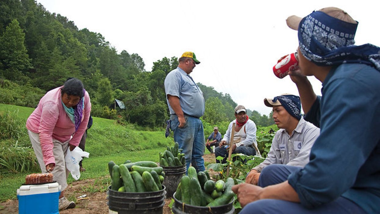 Undocumented Farmworkers Facing Big Risks To Feed America