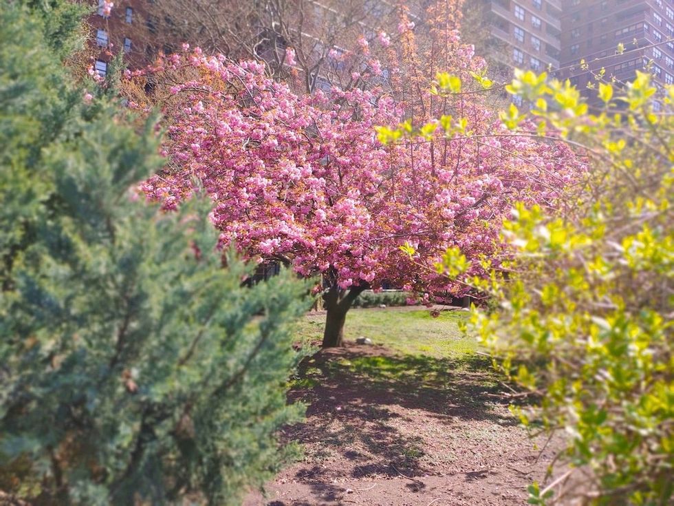 LG V60 ThinQ + Dual Screen