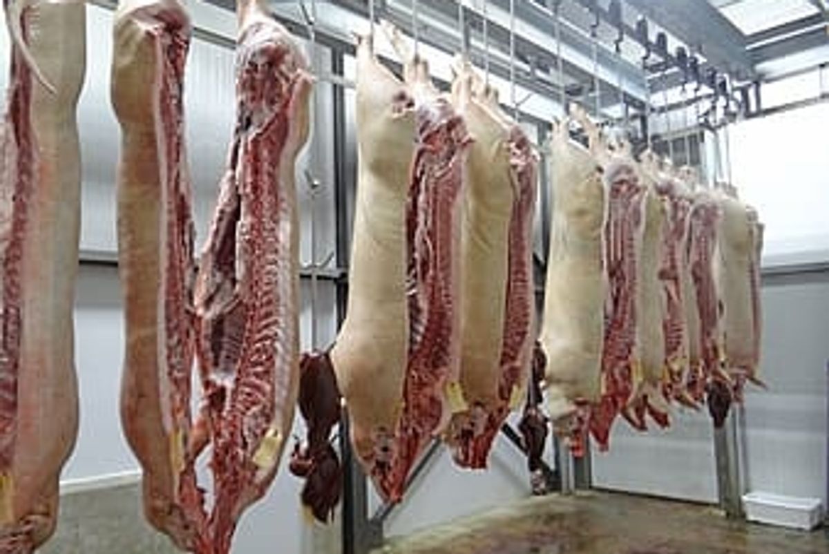 Smithfield Blames Immigrants For Bringing Virus Into Its Immaculate Slaughterhouse