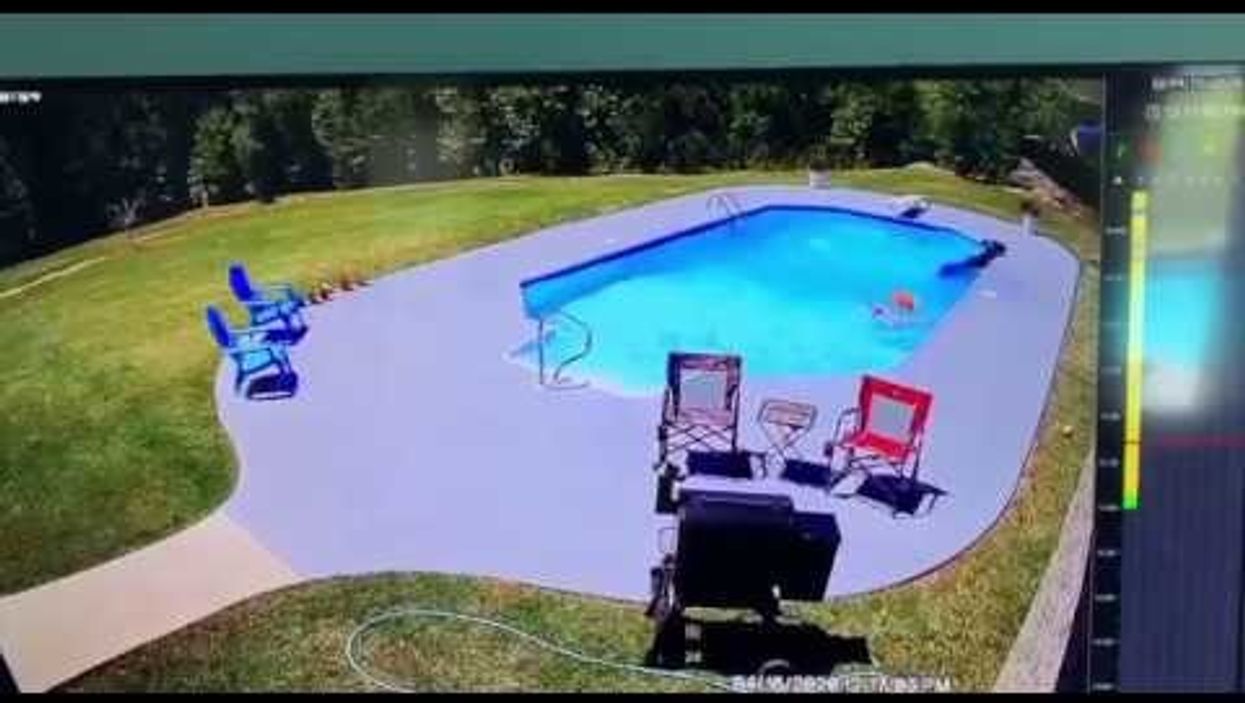 This video of a cow leaping into a pool and being lassoed out is peak quarantine entertainment