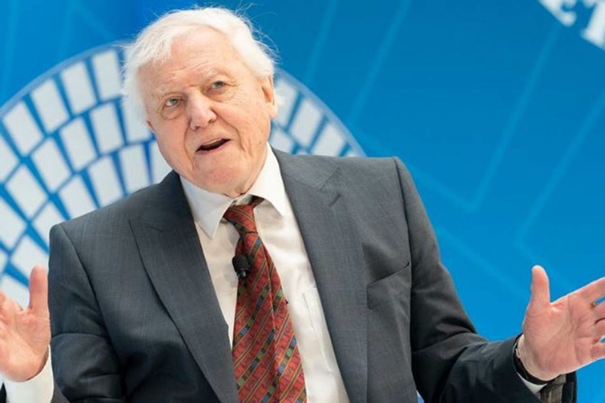 GOOD10 // The Earth Issue // The Celebrity: Sir David Attenborough