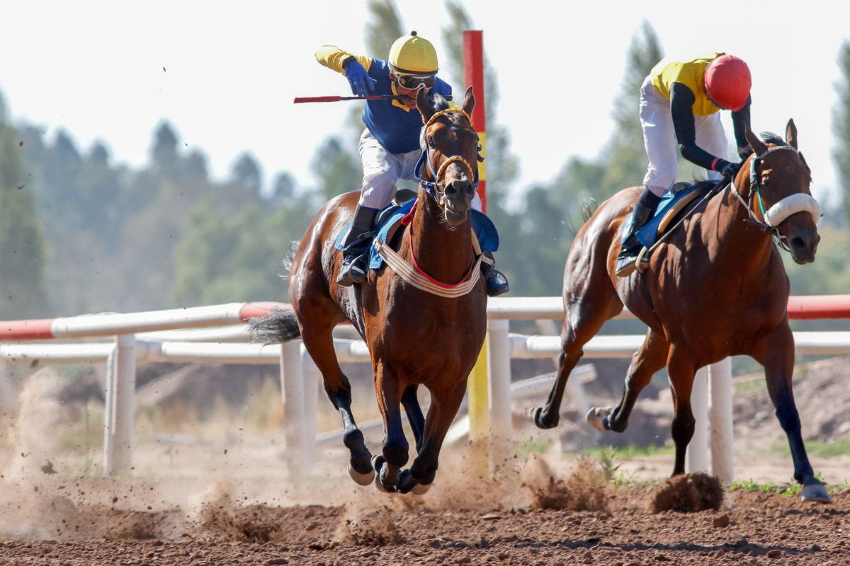 two people racing horses 