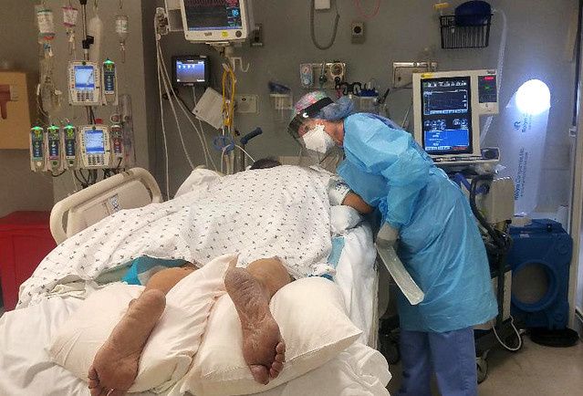 coronavirus, covid-19