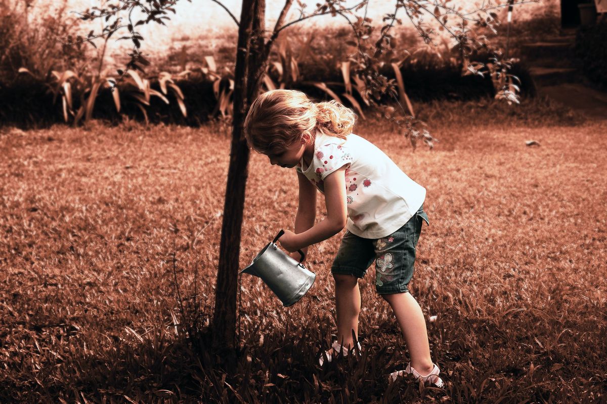 In these times of uncertainty, plant a tree