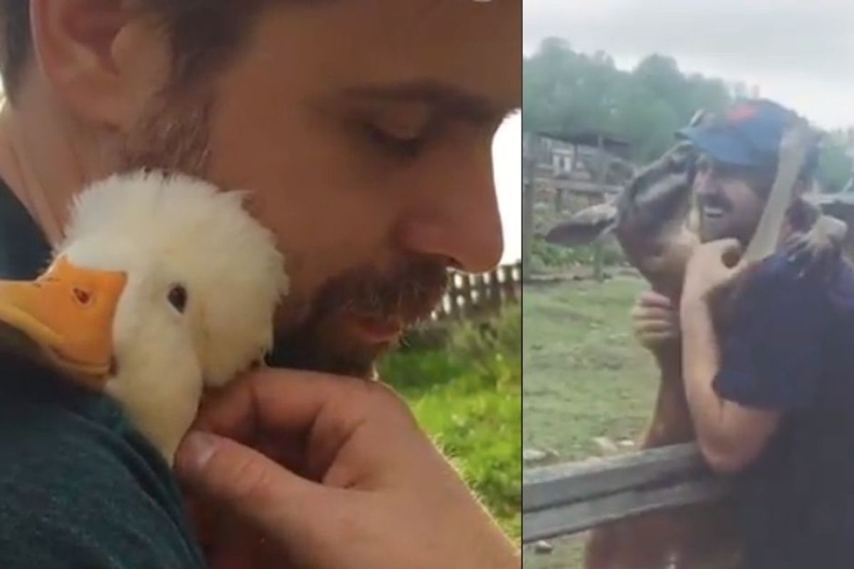 Happiness break: here's some pure joy with a montage of animal hugs and kisses