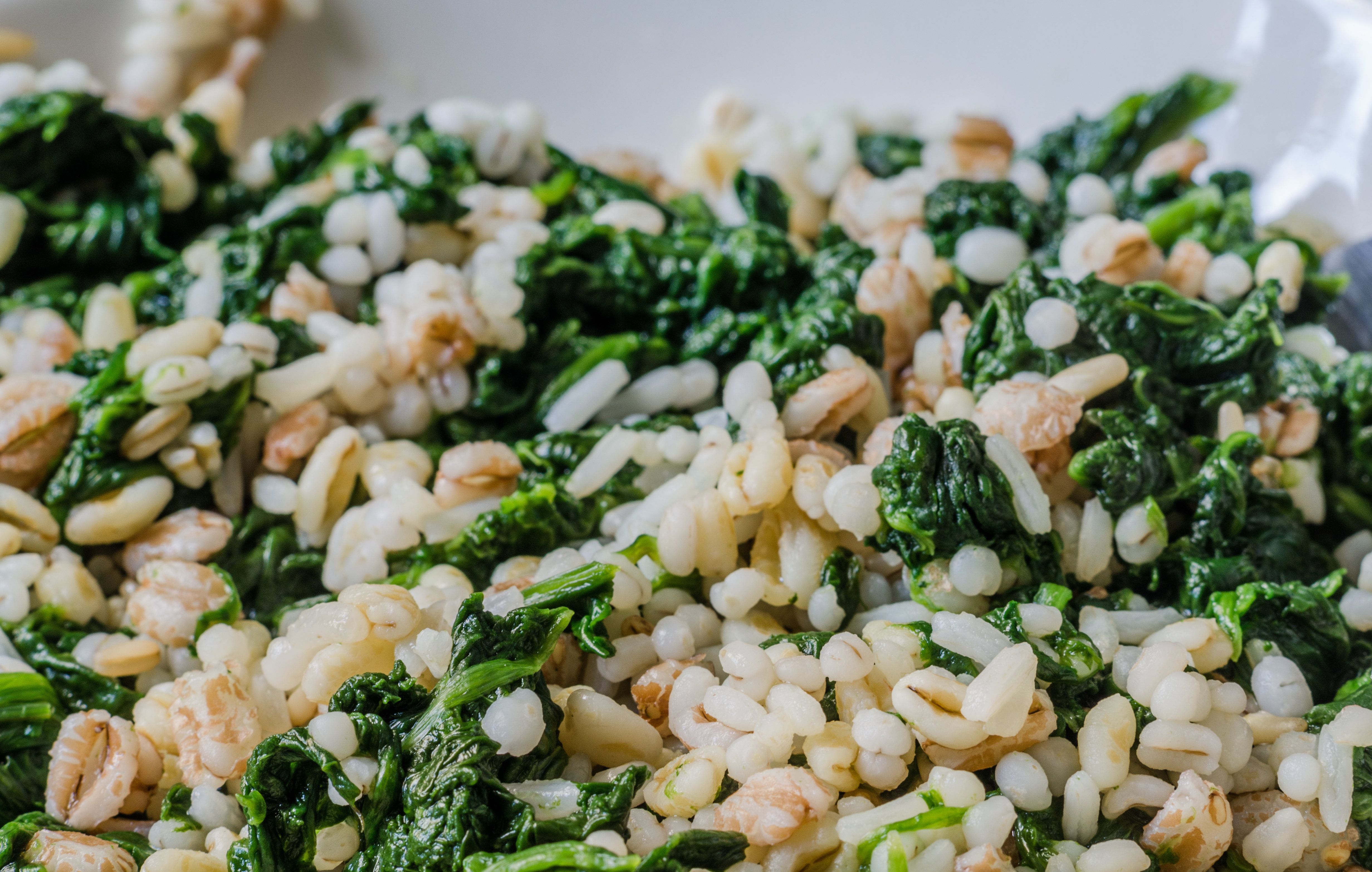 Cuciniamo insieme: timballo di farro, ricotta e ortiche con salsa al Parmigiano