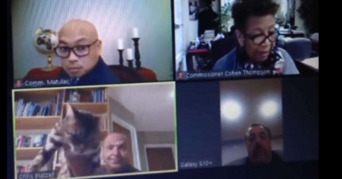 California Official Apologizes And Resigns After Throwing His Cat And Drinking Beer During Zoom Meeting