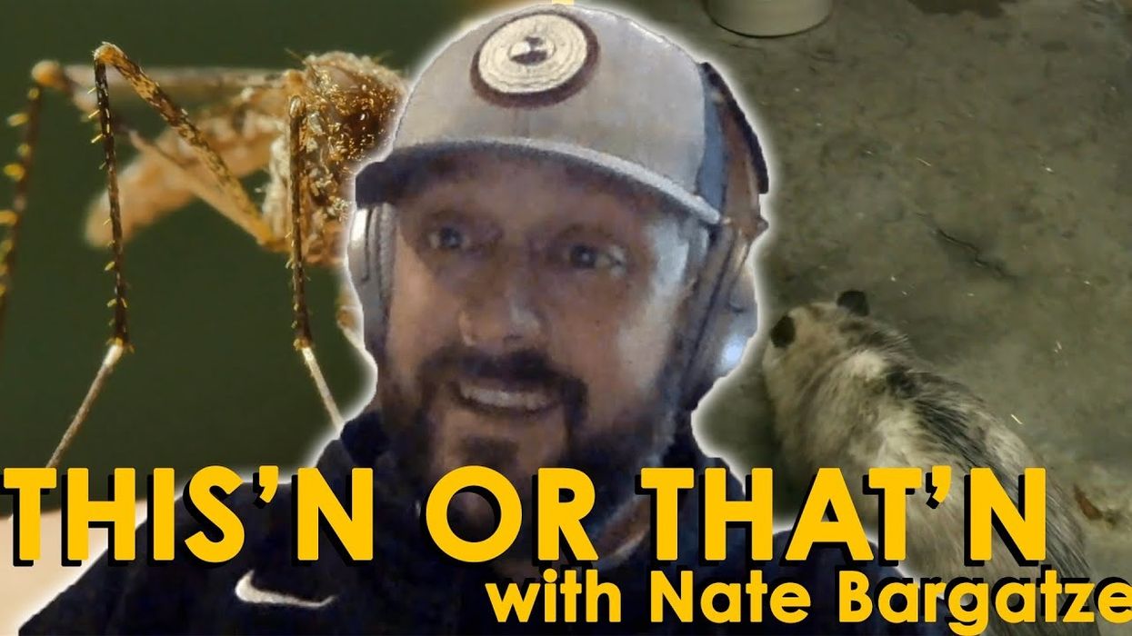 Comedian Nate Bargatze answers our important Southern questions