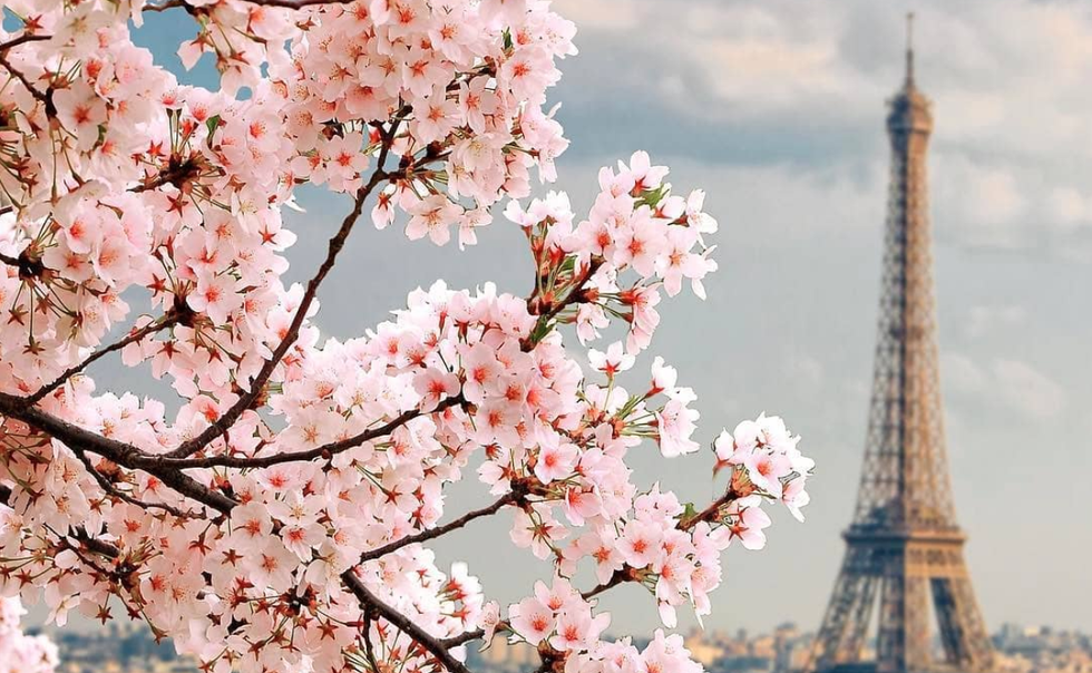 13 Quotes To Motivate Yourself During Quarantine