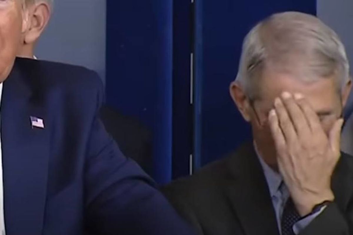Hilarious compilation video shows people's reactions to Trump's most bizarre comments