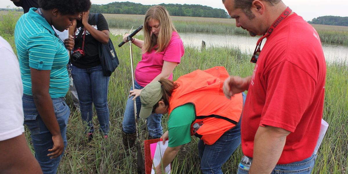 Wetland testing