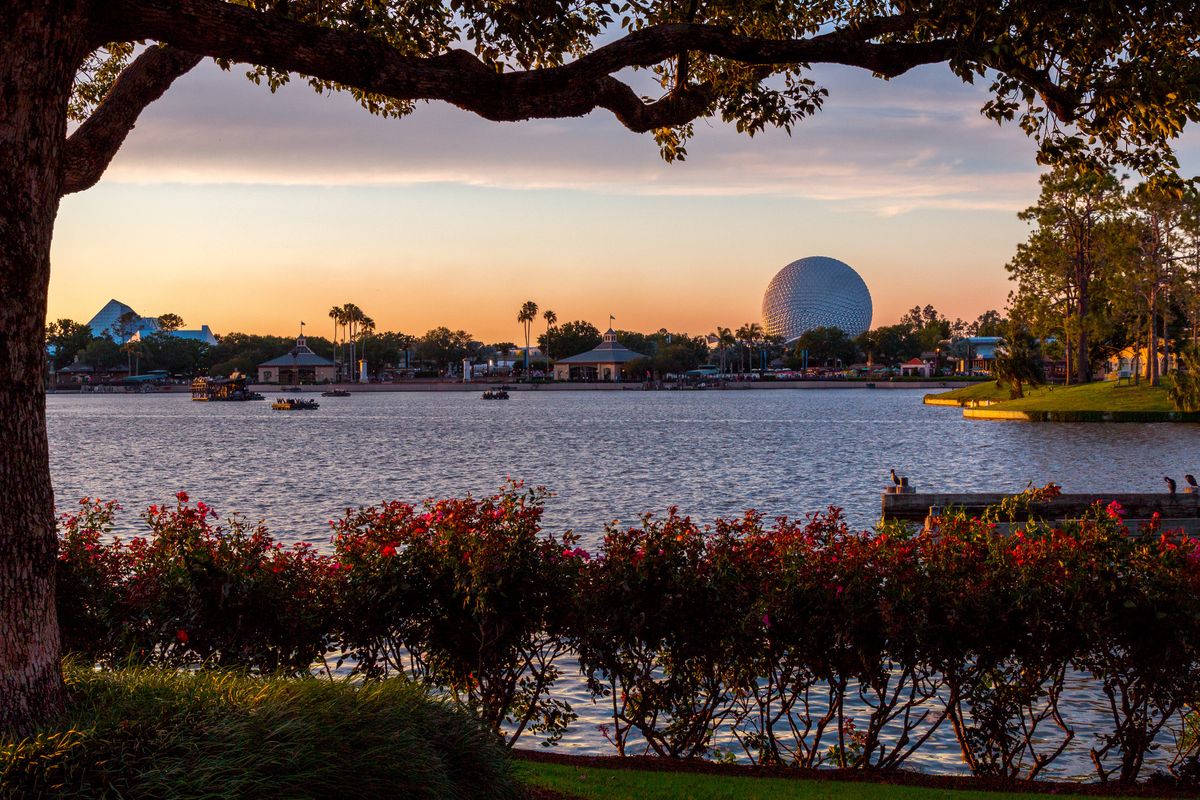 L'odissea dei lavoratori italiani a Walt Disney World, assistiti fino all'imbarco in aeroporto