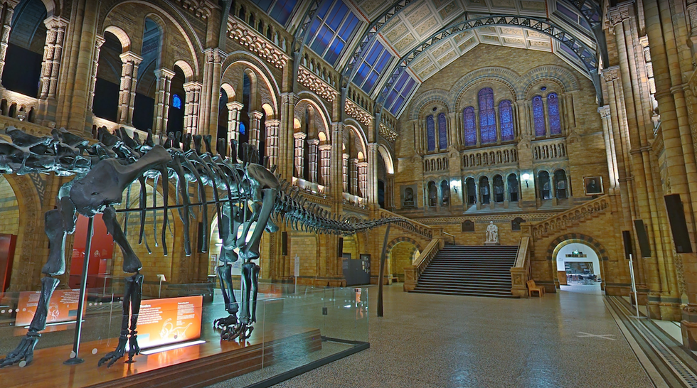London National History Museum virtual tour