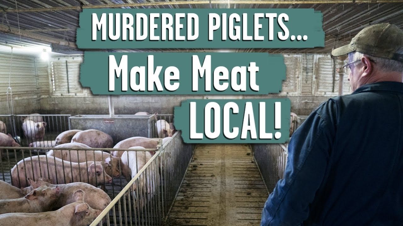 HEY DC! It's time for LOCAL meat processing to avoid a MEAT SHORTAGE during coronavirus pandemic