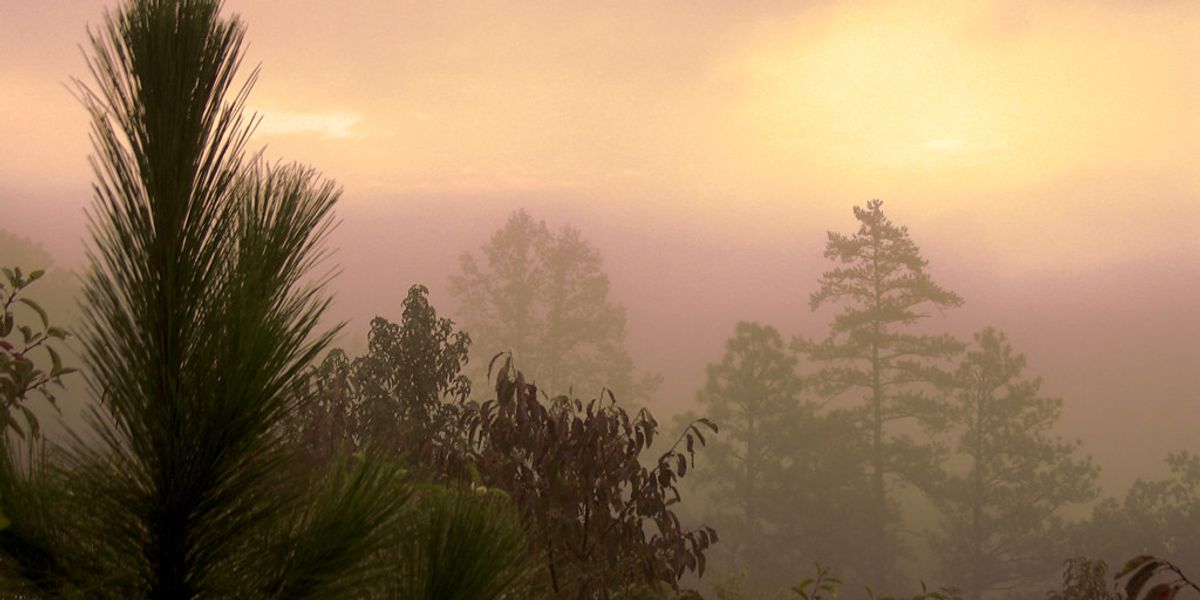 Alabamians see clearer as air pollution plunges