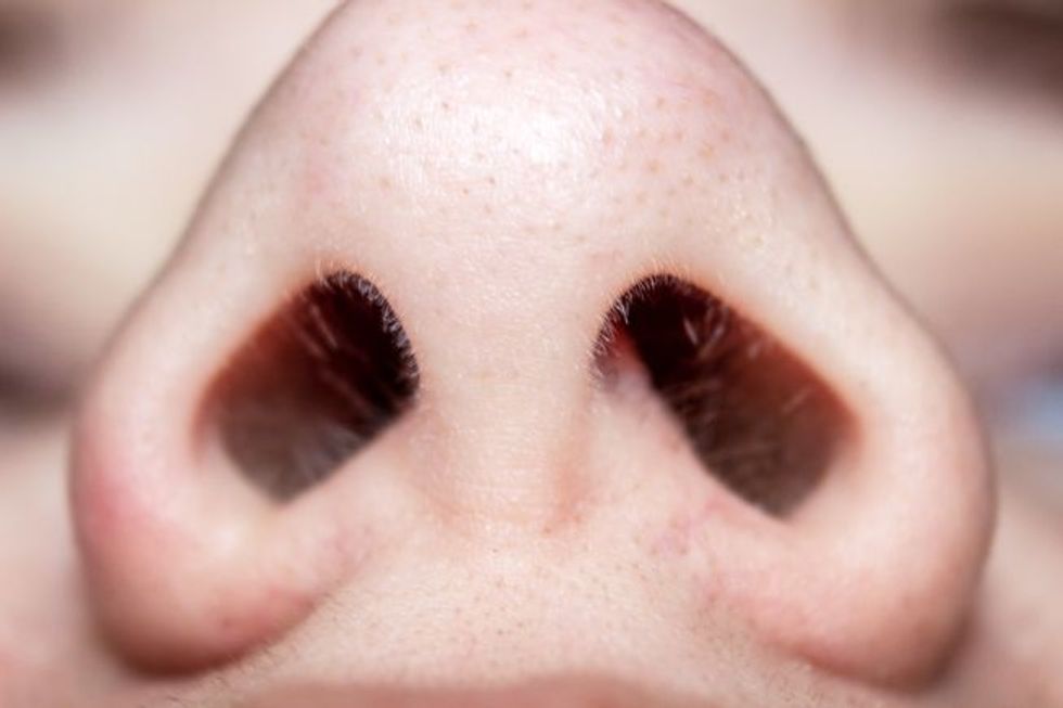 People, Quit Removing Your Nose Hair, It's There For A Reason