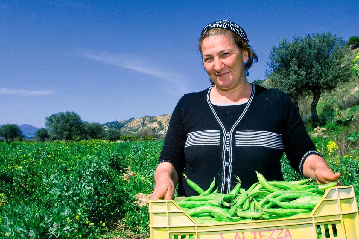 È ora di fave. Le alternative alla soia con ottime proteine vegetali