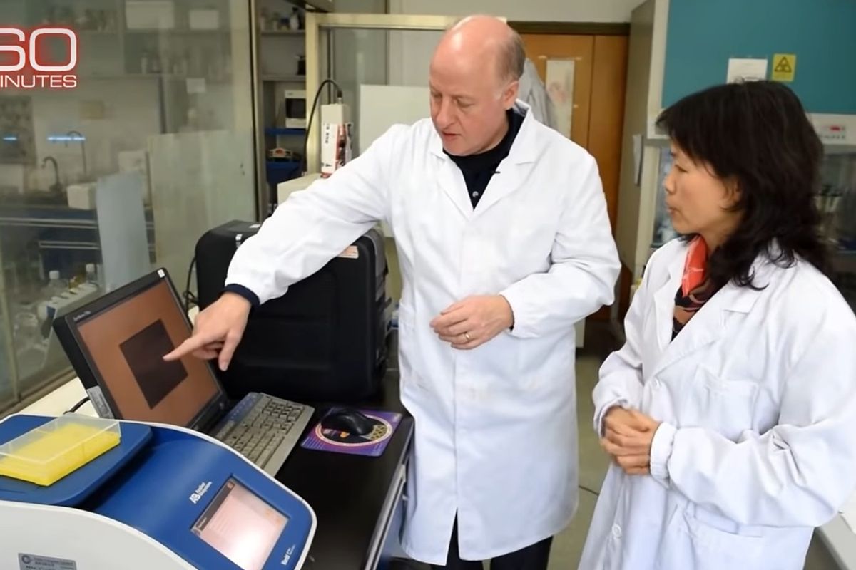 Wingnut Disinformation Kills US Coronavirus Research, Great Job Guys