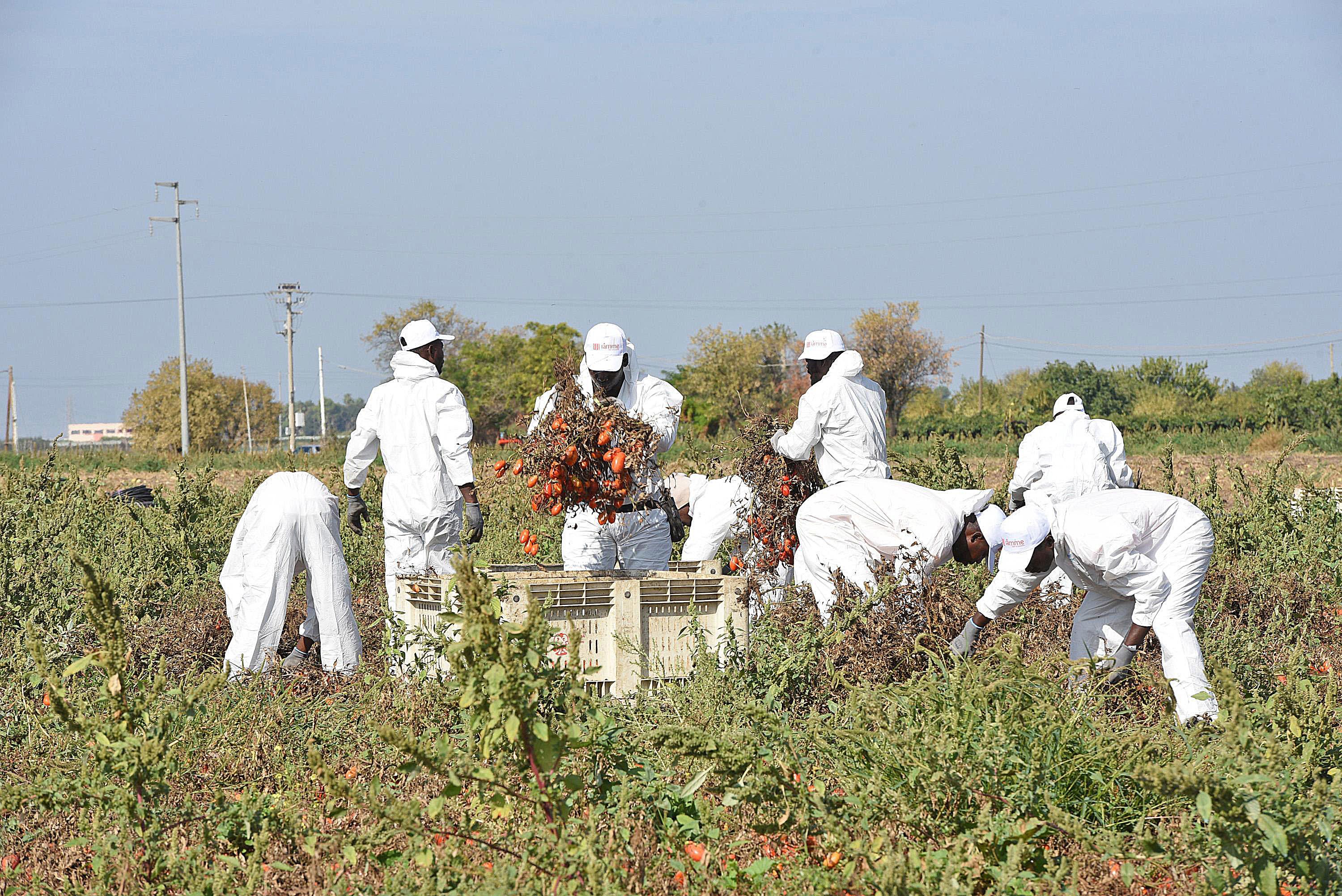 La maxi sanatoria serve a demolire i decreti Sicurezza