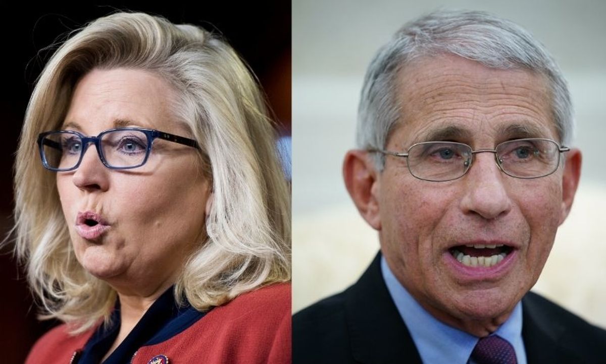 Liz Cheney Is Defending Dr. Fauci After Criticism from GOP Senators--and Trump Supporters are Pissed