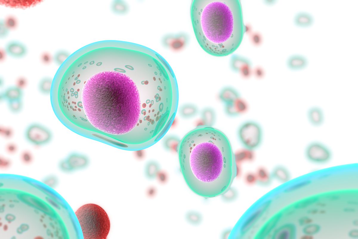Plasma may help COVID-19 patients, Austin doctors say as they join national study—it definitely boosts morale