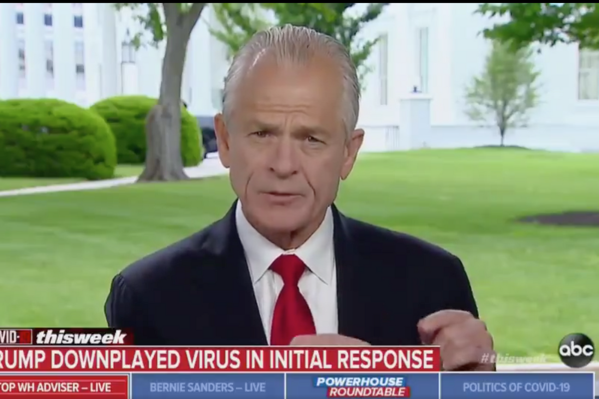 Peter Navarro: Only Donald J. Trump Can Save Us From ‘China Virus’ He Ignored For Months