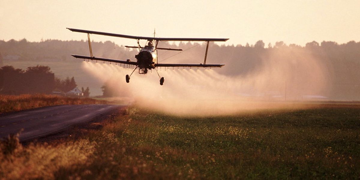 US EPA forced to decide this month on pesticide’s fate