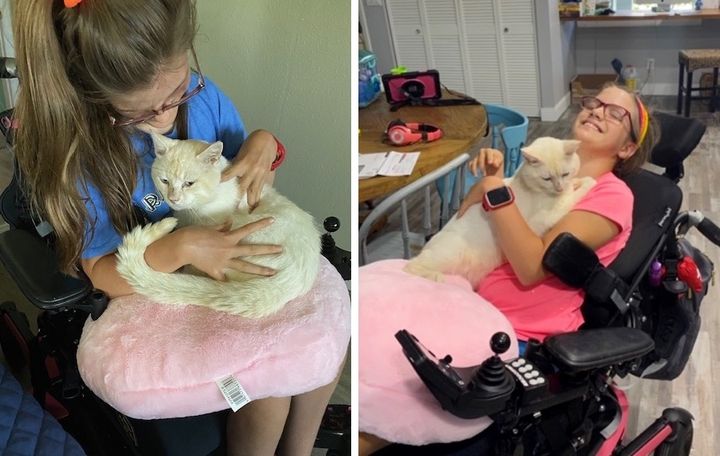 Rescued Cat Becomes the Purr-fect Companion to Girl in Wheelchair